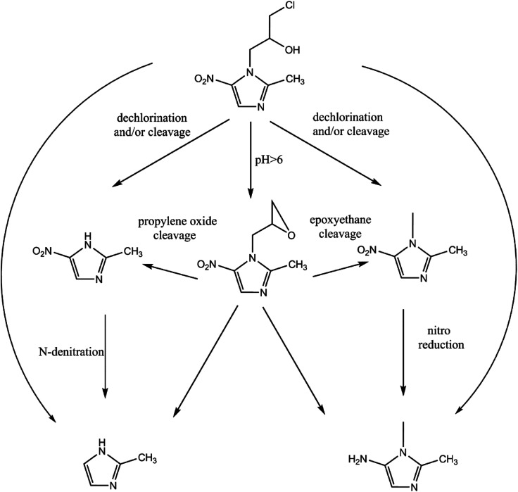 Fig. 8