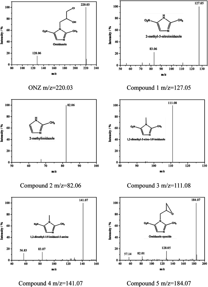 Fig. 7