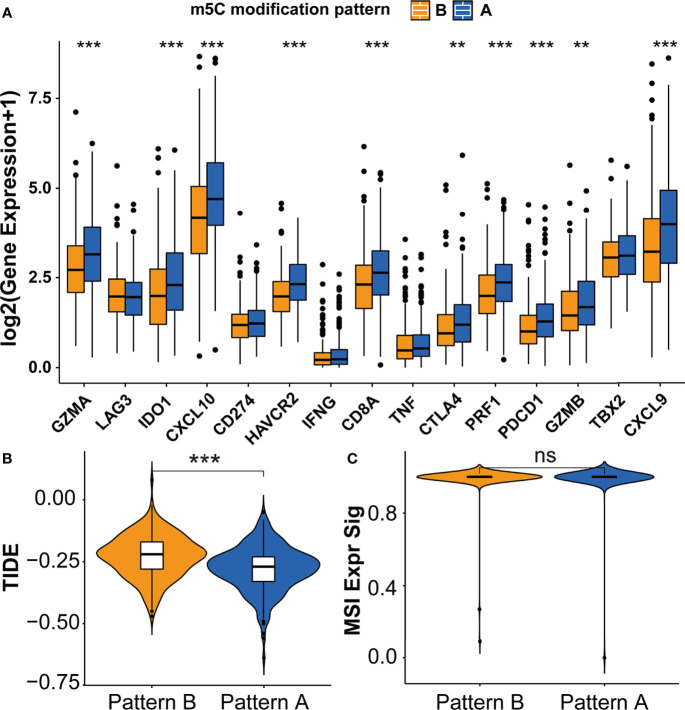 Figure 4