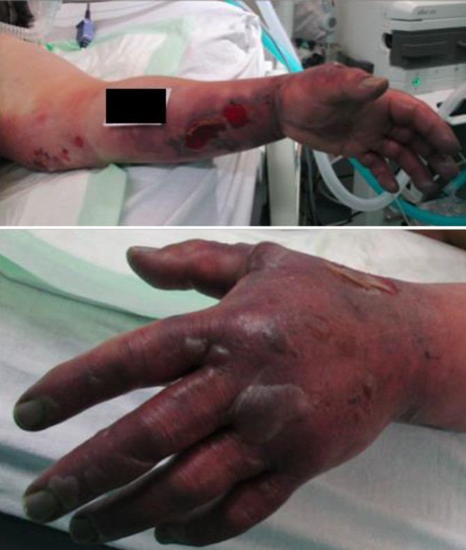 graphic file with name 772_2022_905_Fig1_HTML.jpg