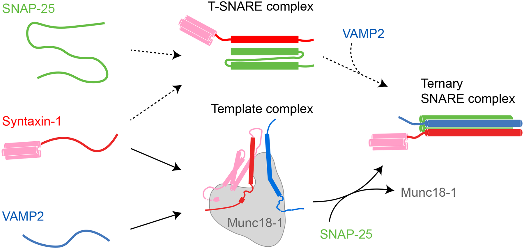 Figure 2.