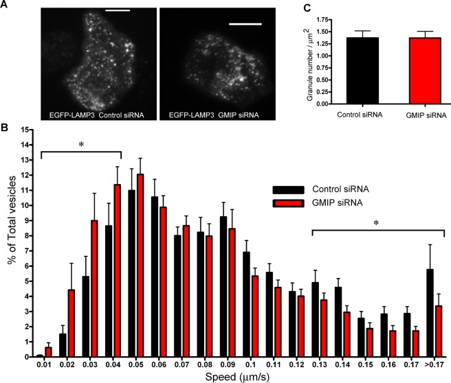 FIGURE 3: