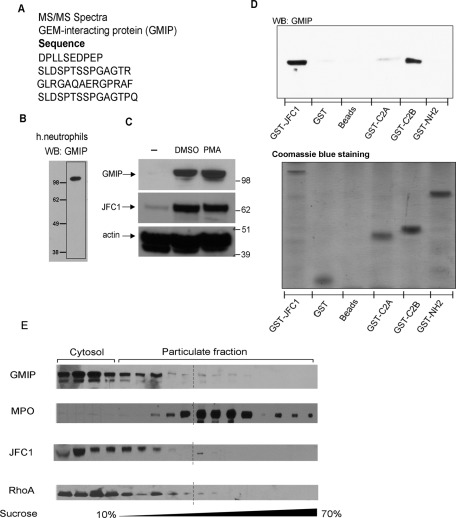 FIGURE 1: