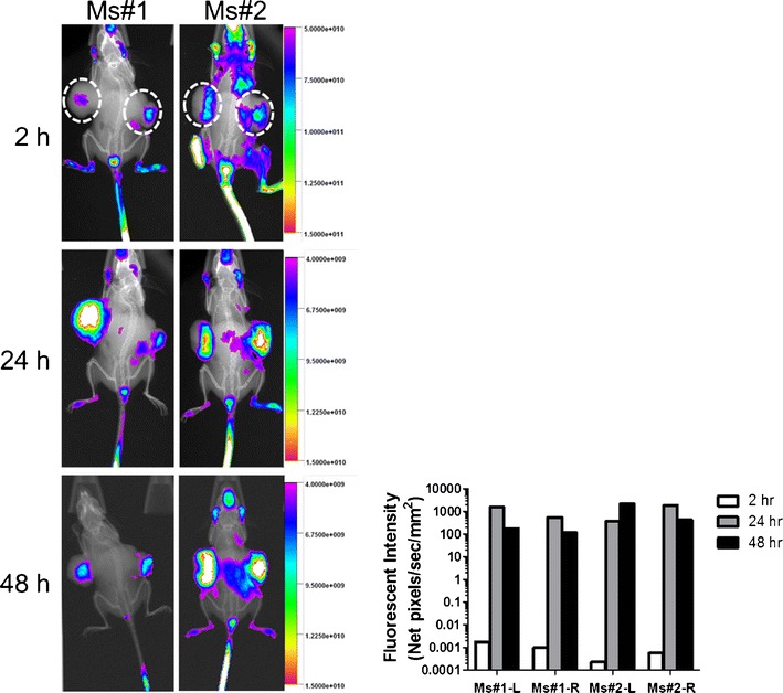 Fig. 4