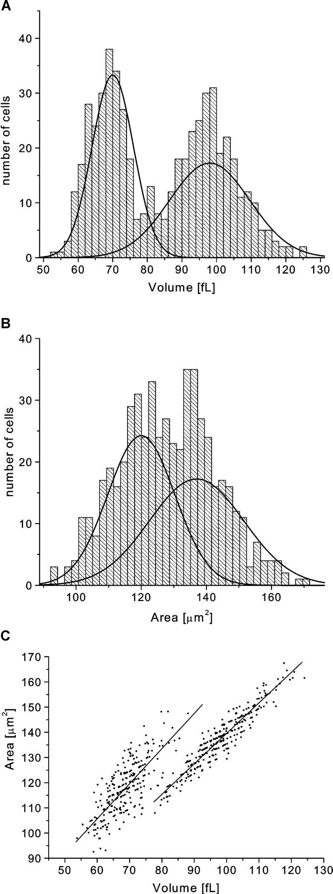 FIGURE 12