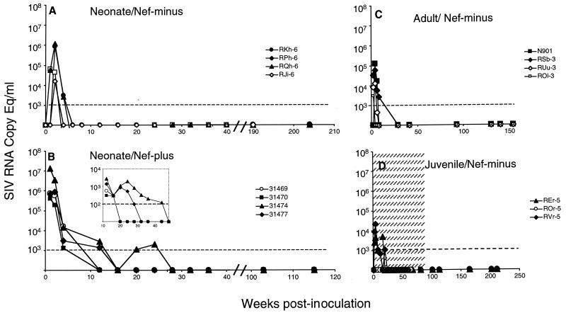 FIG. 2.