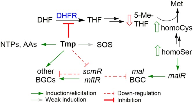 FIG 11