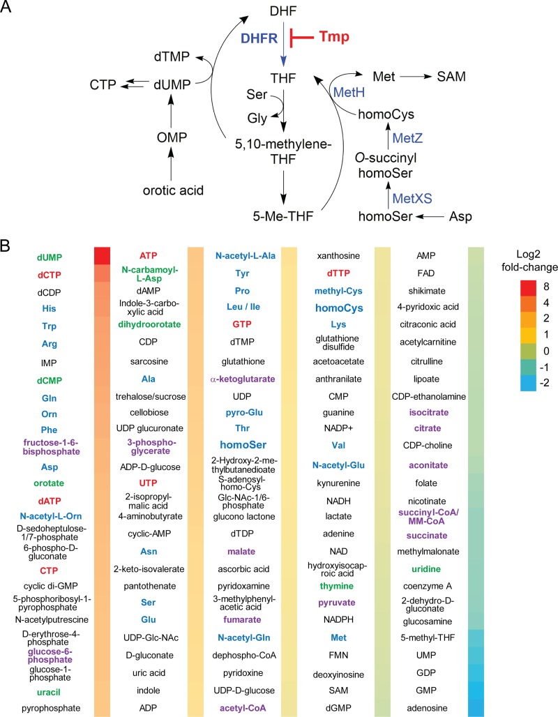 FIG 3