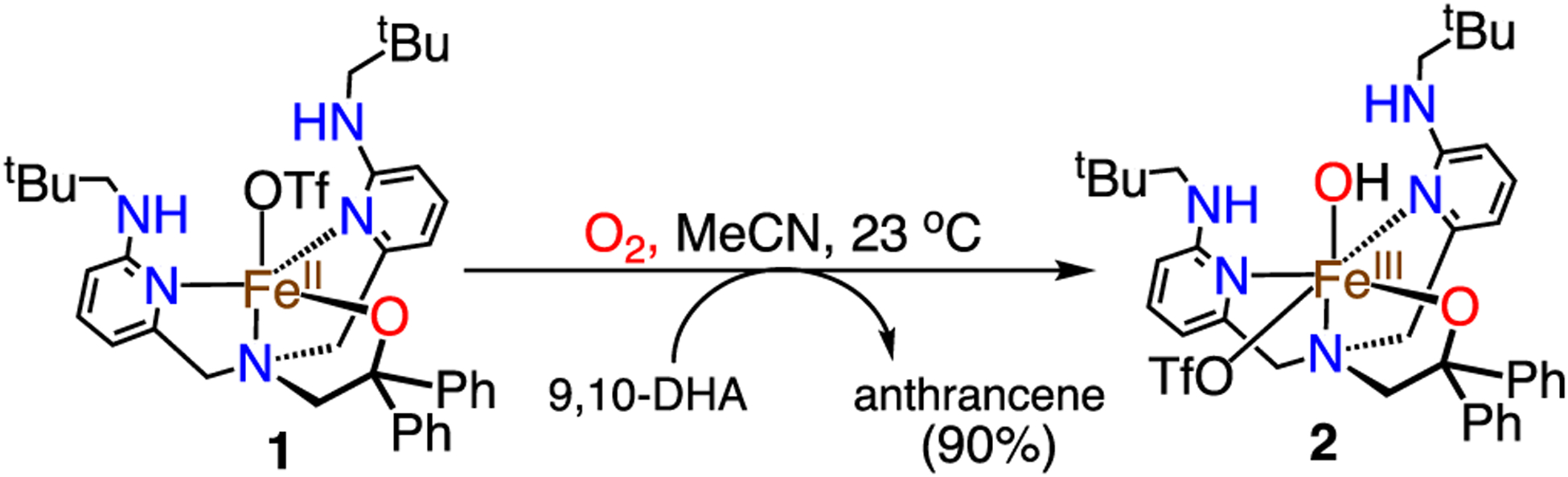 Scheme 3.