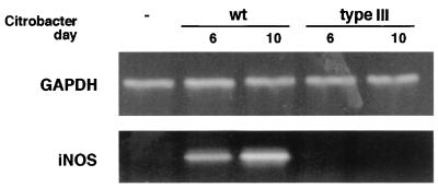 FIG. 1.