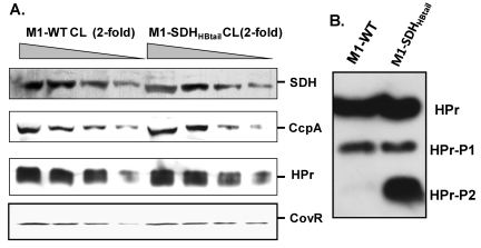 FIG 3 