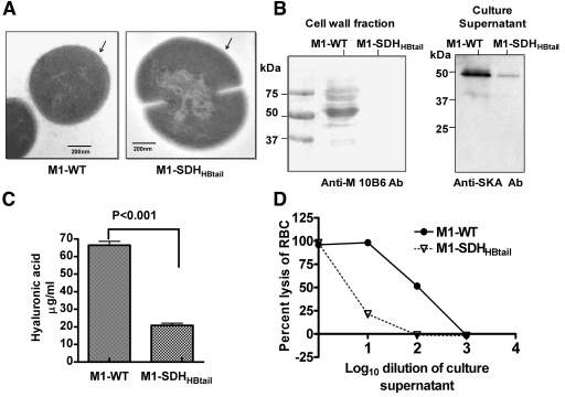 FIG 4 