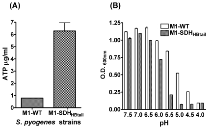 FIG 2 