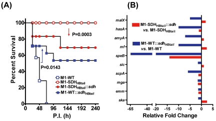 FIG 6 