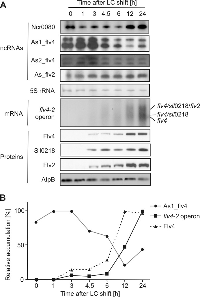 FIGURE 2.