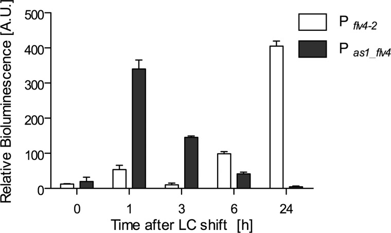 FIGURE 4.