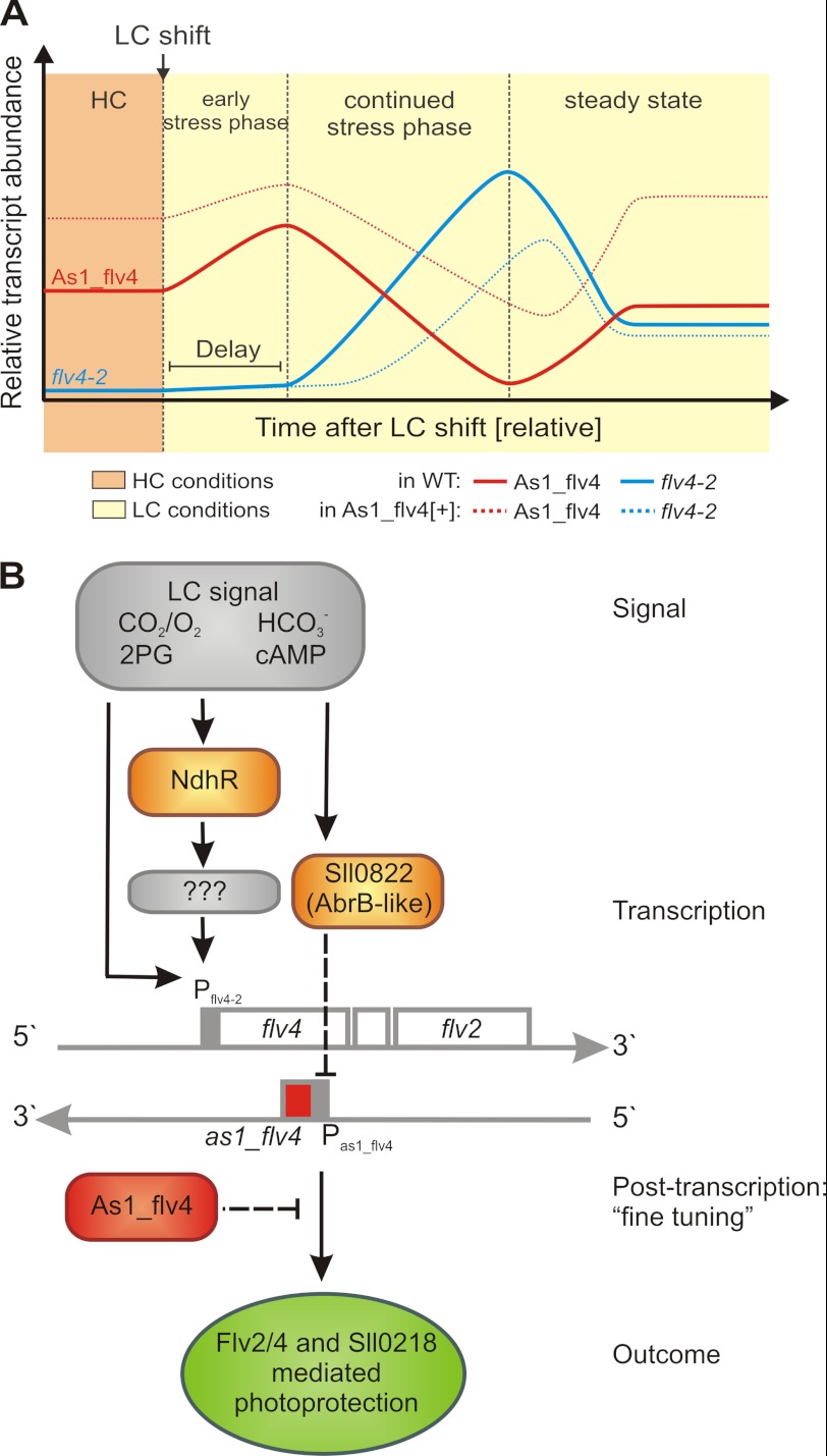 FIGURE 7.