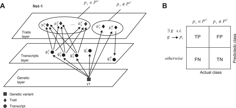 Figure 5—figure supplement 1.