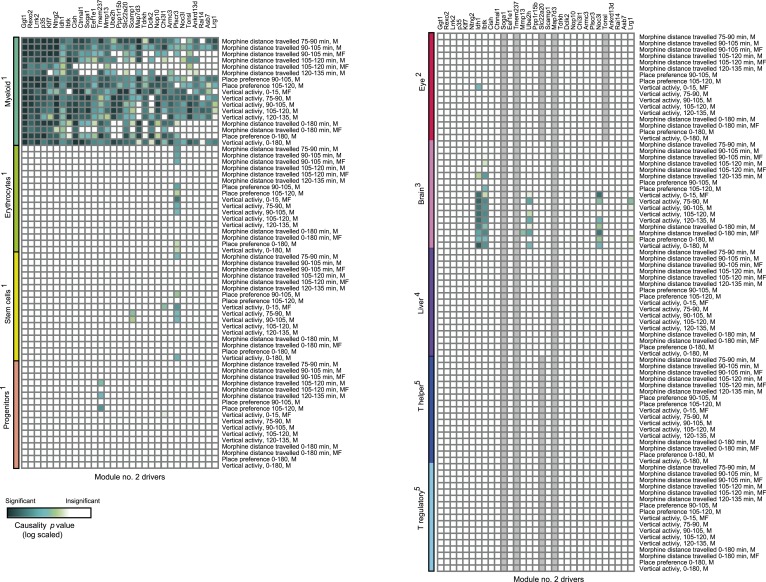 Figure 3—figure supplement 4.