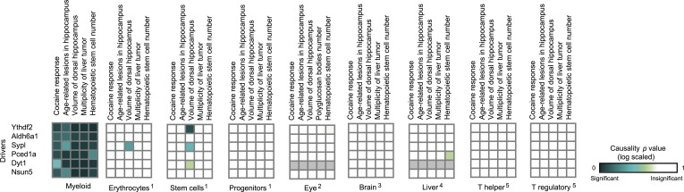 Figure 4—figure supplement 2.