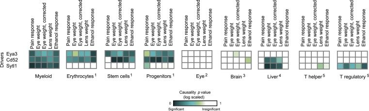 Figure 4—figure supplement 1.