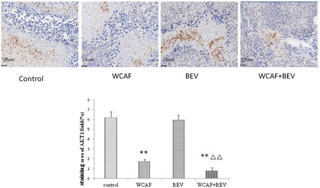 FIGURE 13