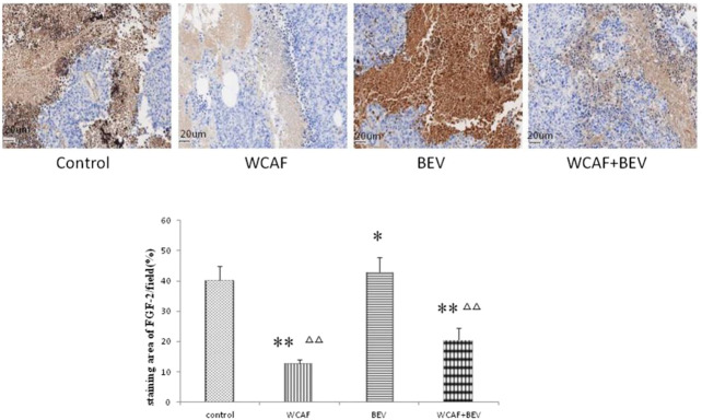 FIGURE 14