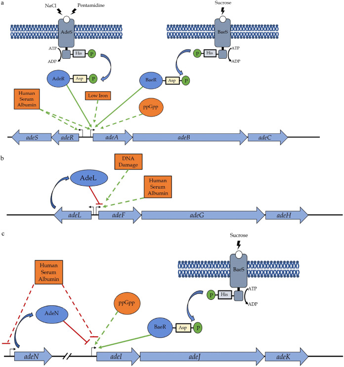 FIG 3