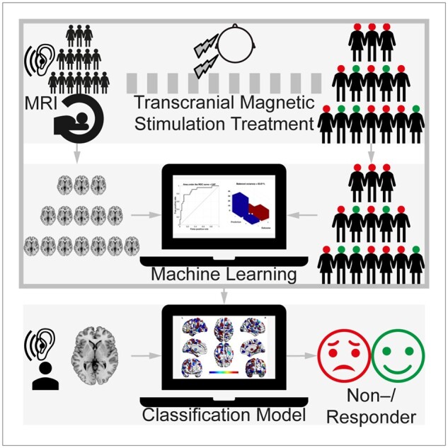 Graphical Abstract