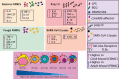 Graphical Abstract