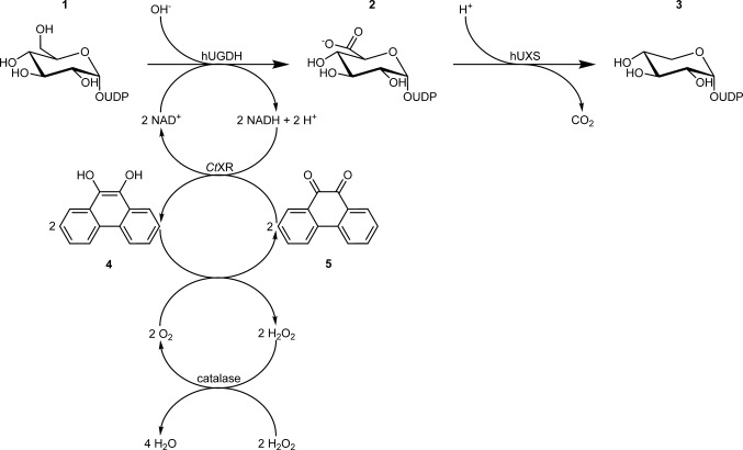 Scheme 2