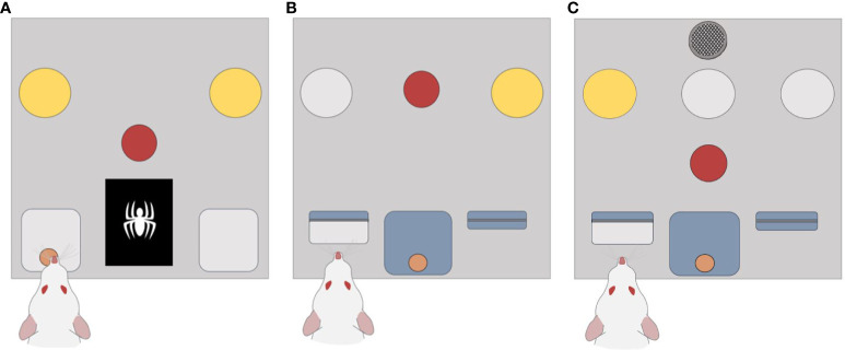 Figure 1