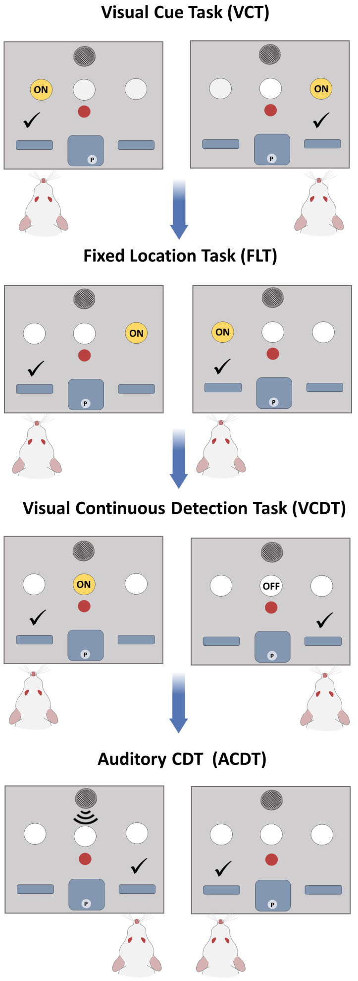 Figure 2