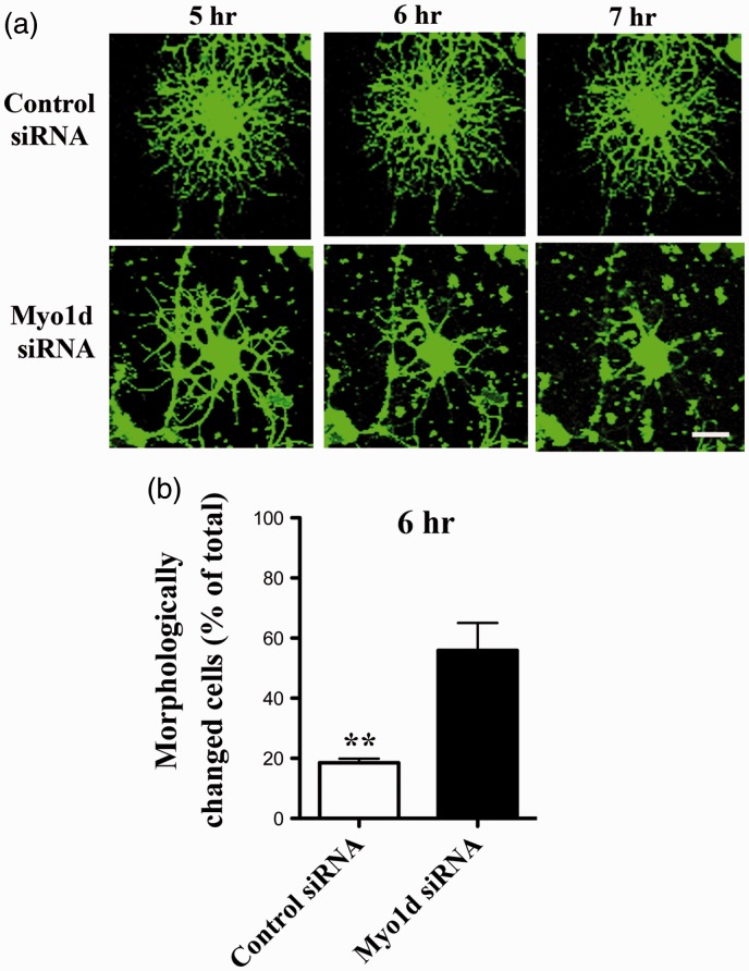 Figure 6.