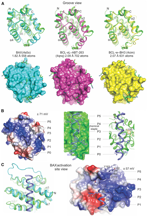 Figure 3.