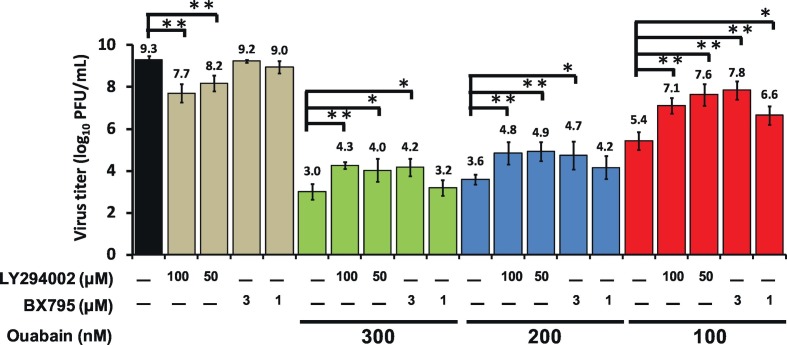 Fig. 6