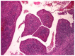 Figure 27