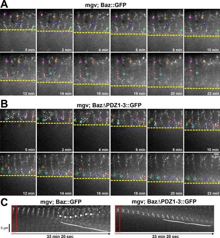 FIGURE 2: