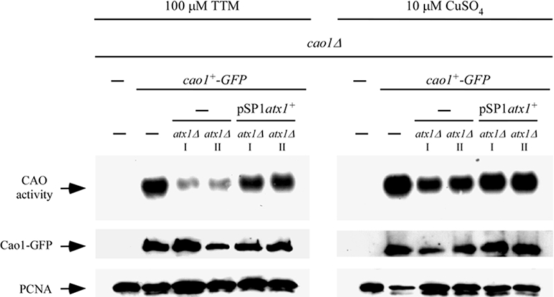 FIG. 8.