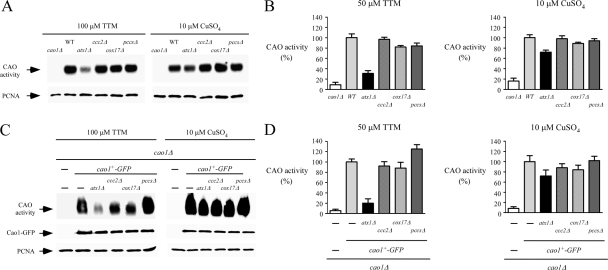 FIG. 7.