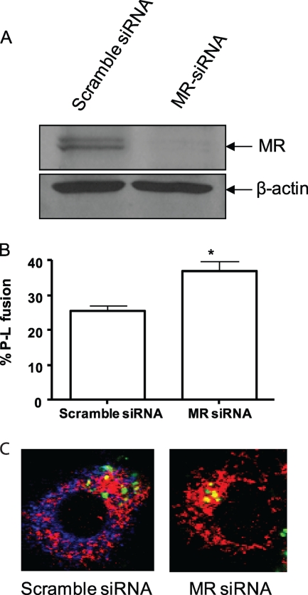 FIG. 6.