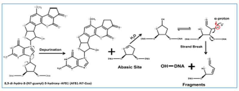 Scheme 3