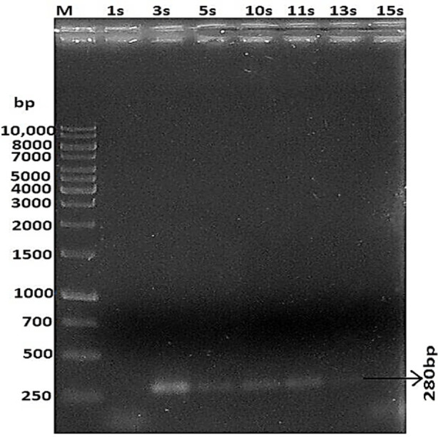 Fig.1