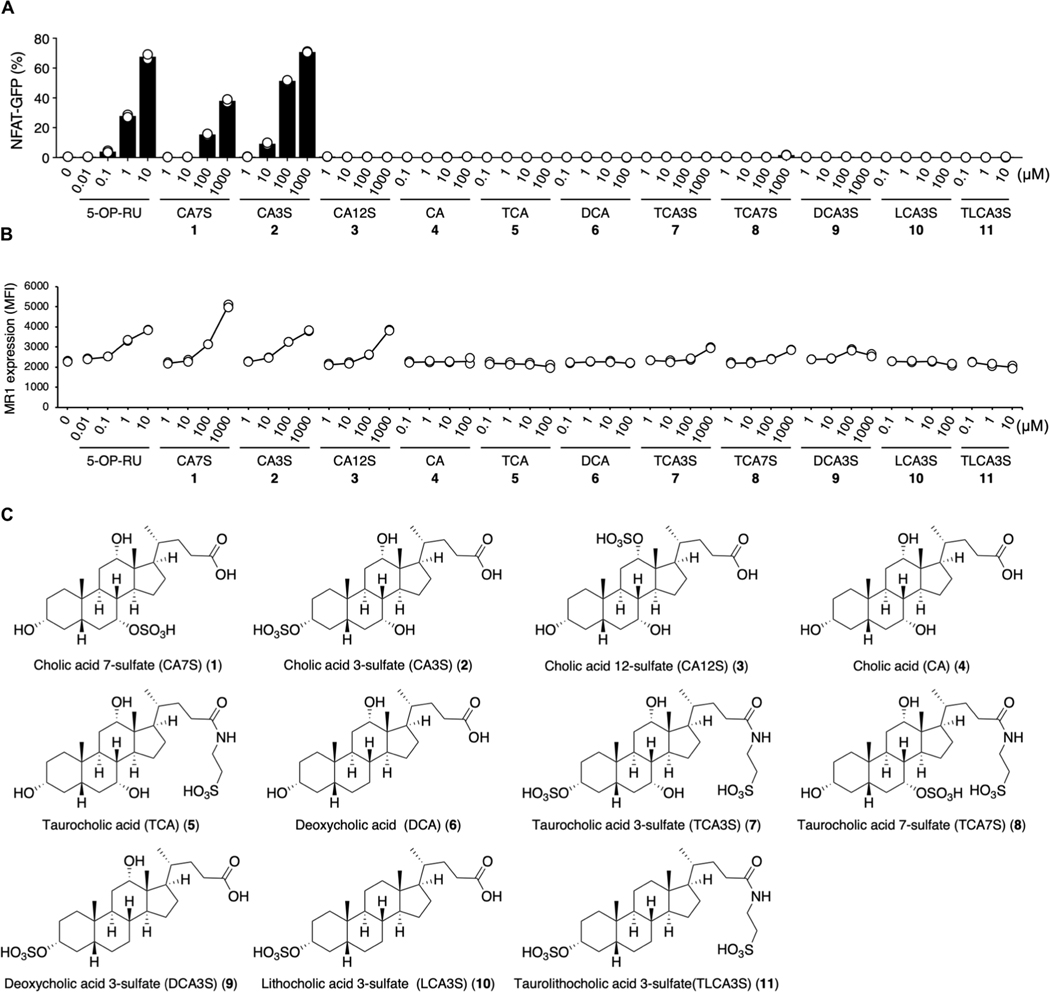 Fig. 3.