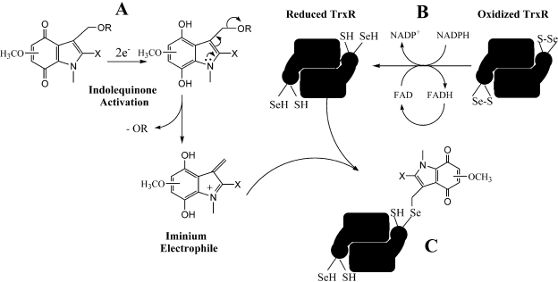 Fig. 7.