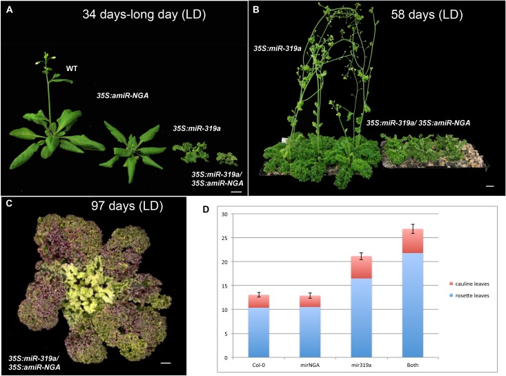 Figure 1—figure supplement 4.