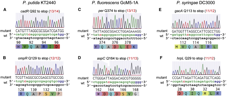 Figure 5