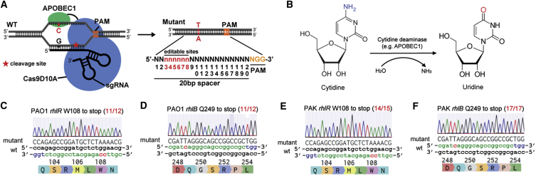 Figure 4