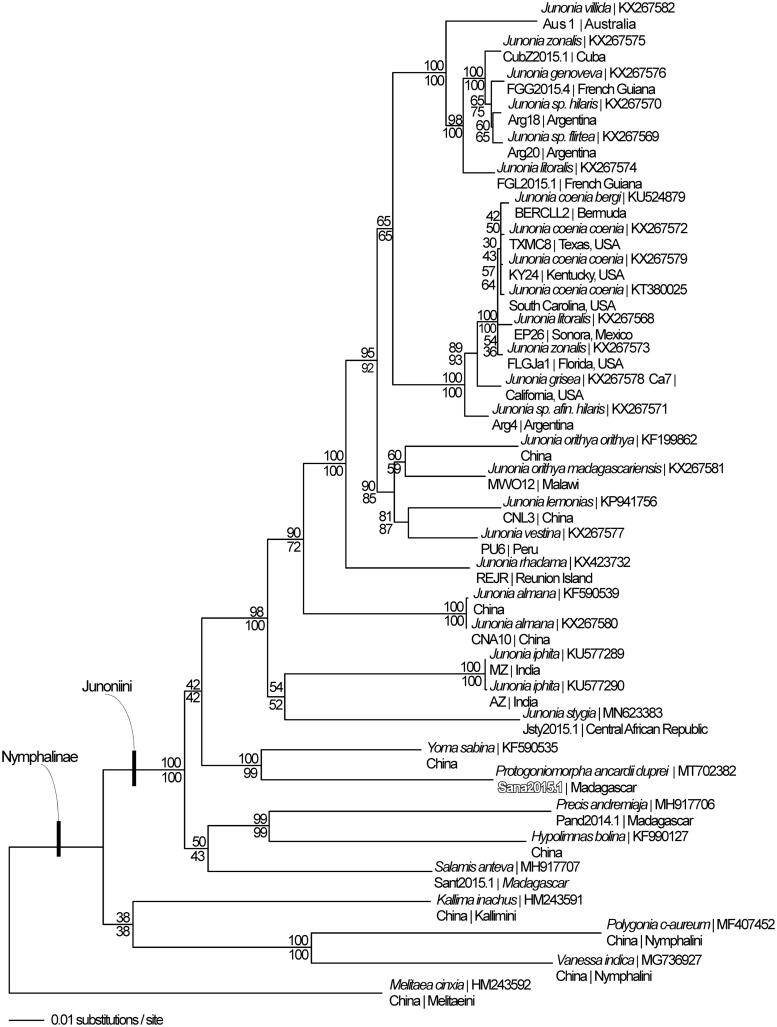 Figure 1.