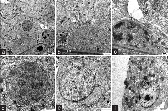 Figure 12